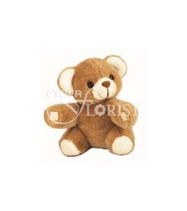teddy bear
