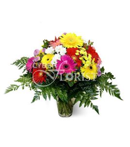 bouquet of gerberas and chrysanthemums