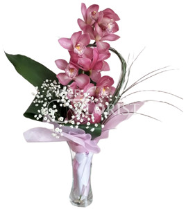 orchid with greens in a vase