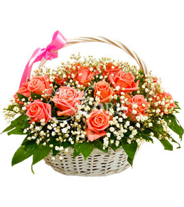 basket of coral roses with babys breath