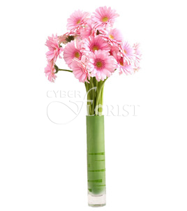 pink gerberas in a vase