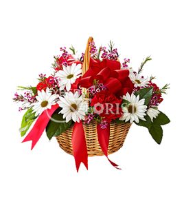 chrysanthemums and carnations in a basket. Frankfurt am Main