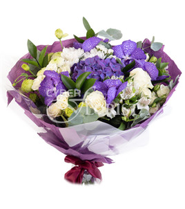 bouquet of orchids and hydrangea. Frankfurt am Main