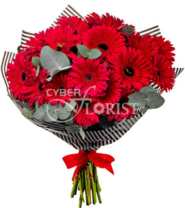 bouquet of 17 gerberas