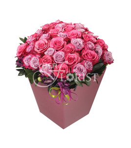 pink roses in a box
