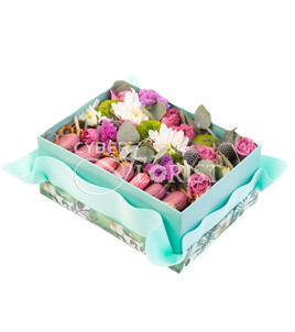 Box with Macarons