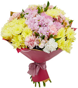 spray chrysanthemums carnations and alstroemerias
