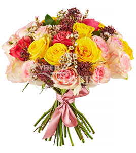 Cyber Florist Many GEOs product image