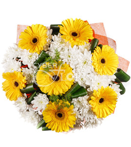 bouquet of chrysanthemums with gerberas