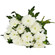 white chrysanthemums. Armenia