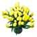 yellow tulips. Russia