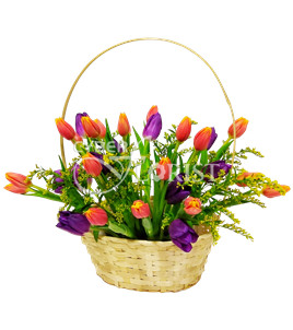 mixed color tulips in a basket