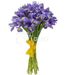 Irises