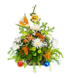 Firework. Bright and sparkling arrangement of exotic flowers for a someone special on a special occasion